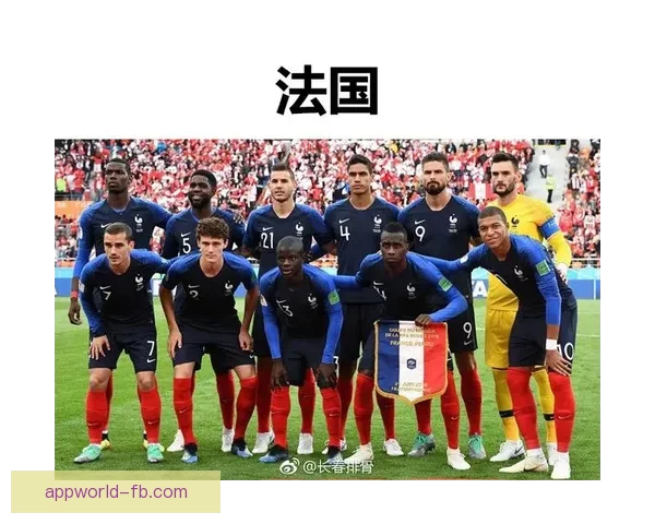 世界杯赛程与热门赔率分析助你精准竞猜夺冠机会